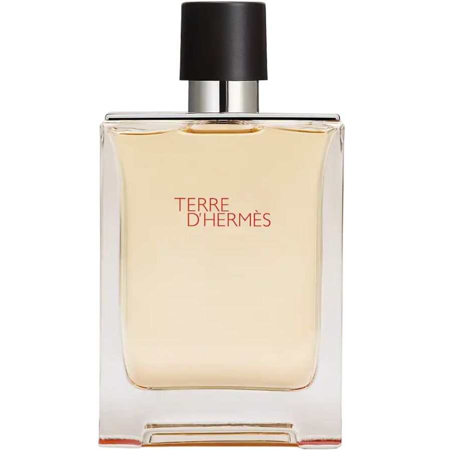Nước Hoa Nam Terre d’Hermes Eau De Toilette