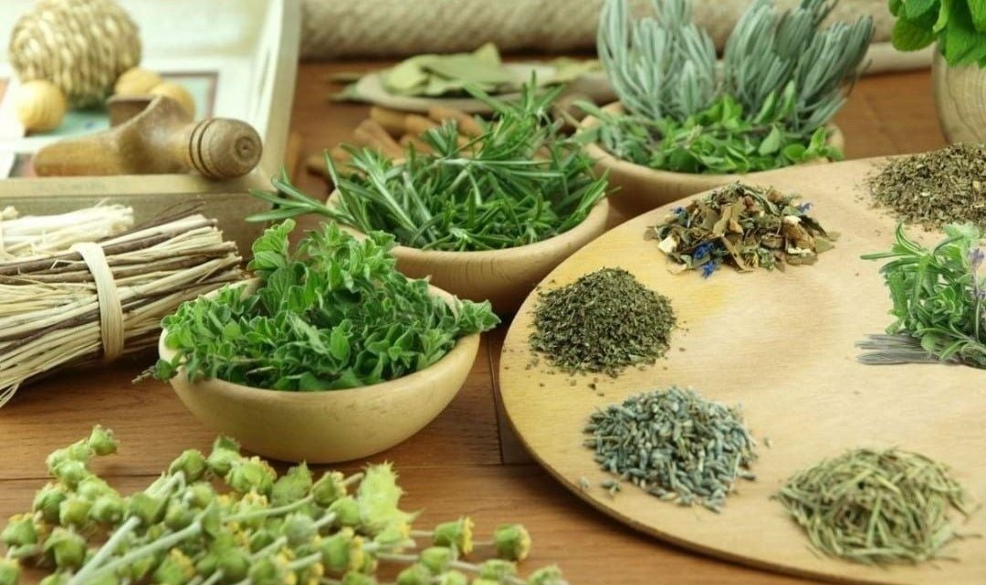 Woody Aromatic - Gỗ kết hợp thảo mộc