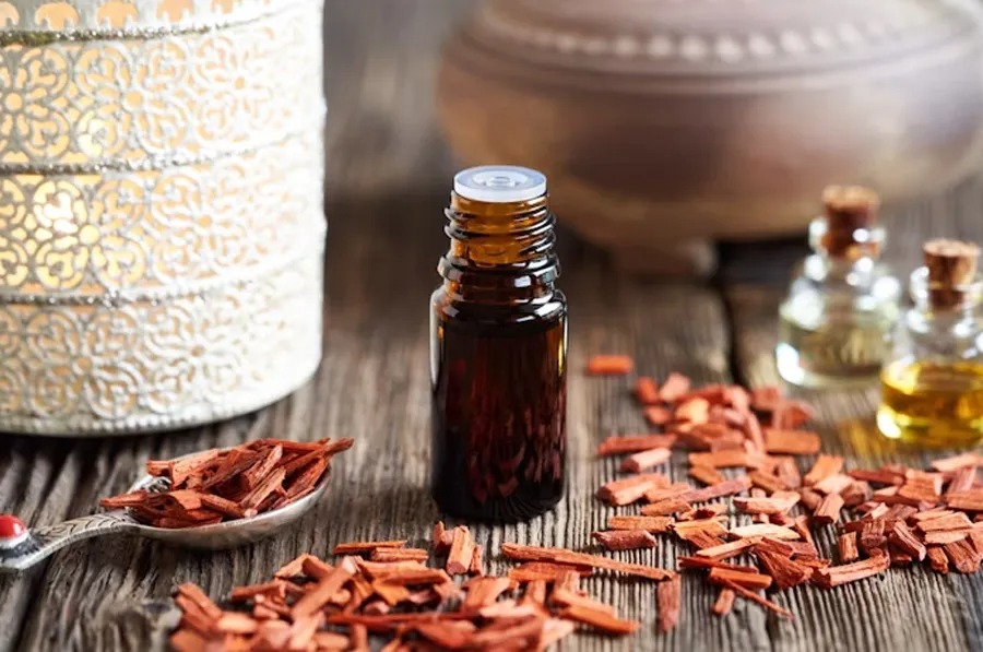 các nốt hương gỗ trong nước hoa