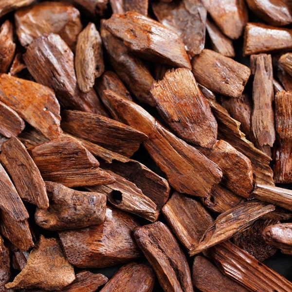 Mùi hương gỗ thơm trong nước hoa