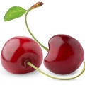 Quả Cherry