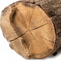 Các nốt hương gỗ
