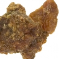 Một dược