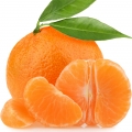 Quýt Clementine