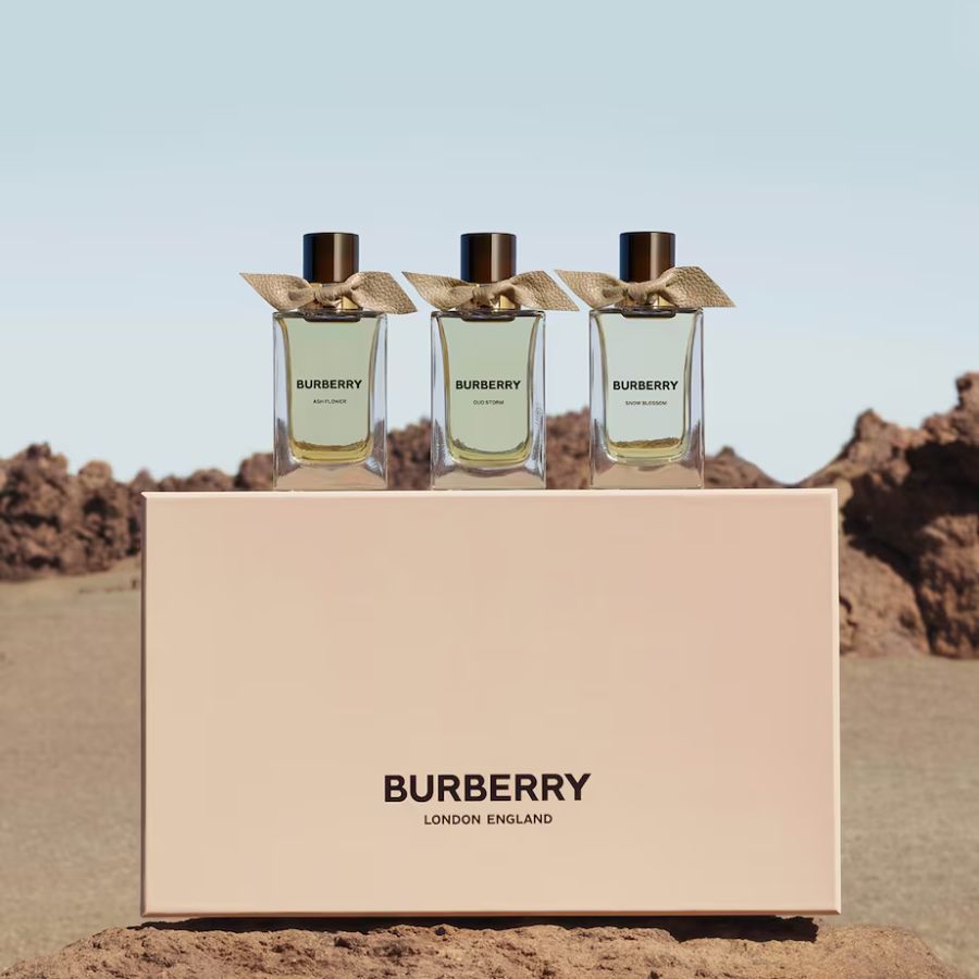Nước Hoa Unisex Burberry Signatures Extreme Botanicals Oud Storm