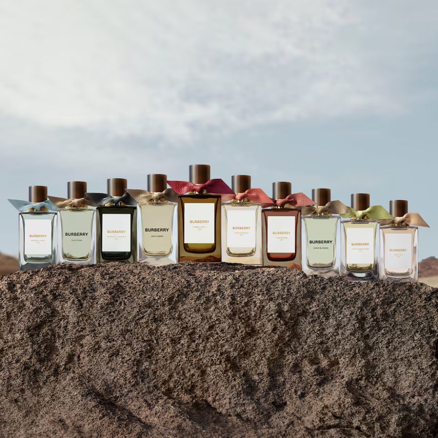 Nước Hoa Unisex Burberry Signatures Extreme Botanicals Oud Storm