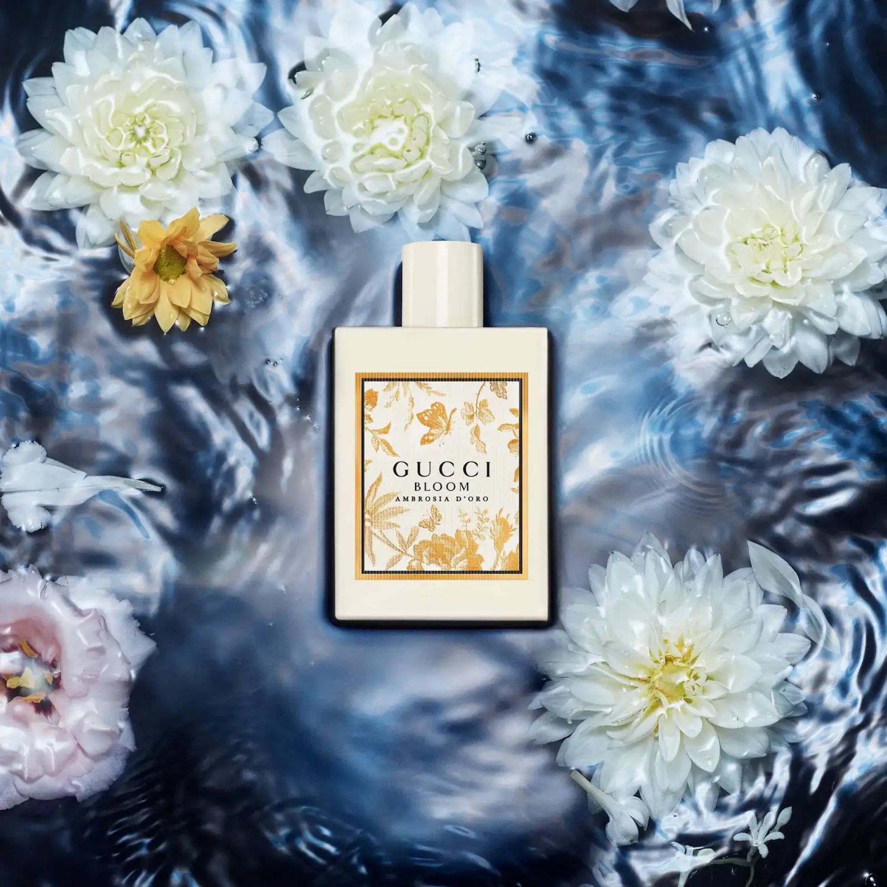 Gucci Bloom Ambrosia d'Oro