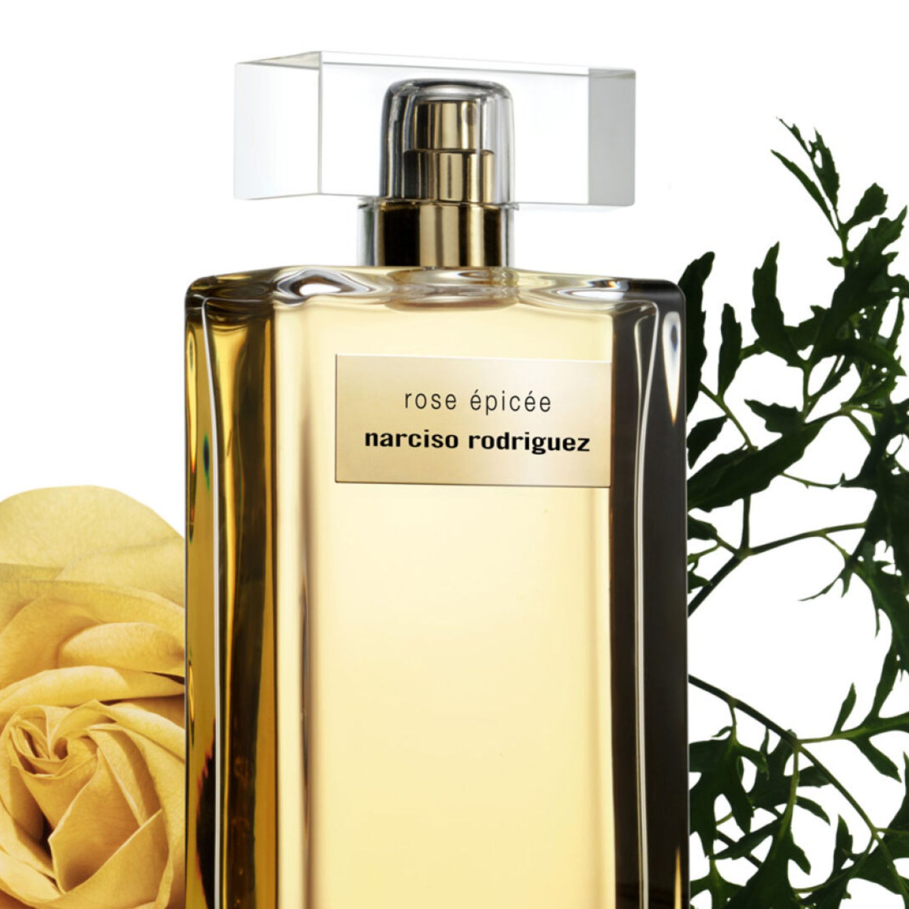 Narciso Rodriguez Rose Épicée